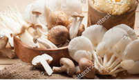 古田益民食用菌合作社安裝菇房智能控制系統(tǒng)
