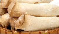 我國(guó)食用菌產(chǎn)業(yè)的發(fā)展進(jìn)程和展望